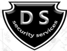 DS Security Services logo
